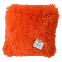 Plush Pillow 16in x 16in