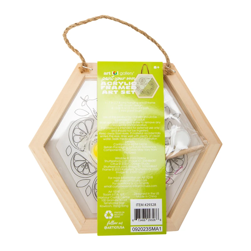 Art 101 Gallery® Paint Your Own Acrylic Framed Set