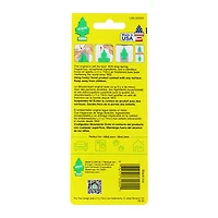 Little Trees® Air Freshener 3-Pack