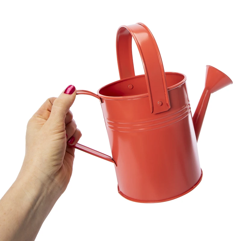Metal Watering Can