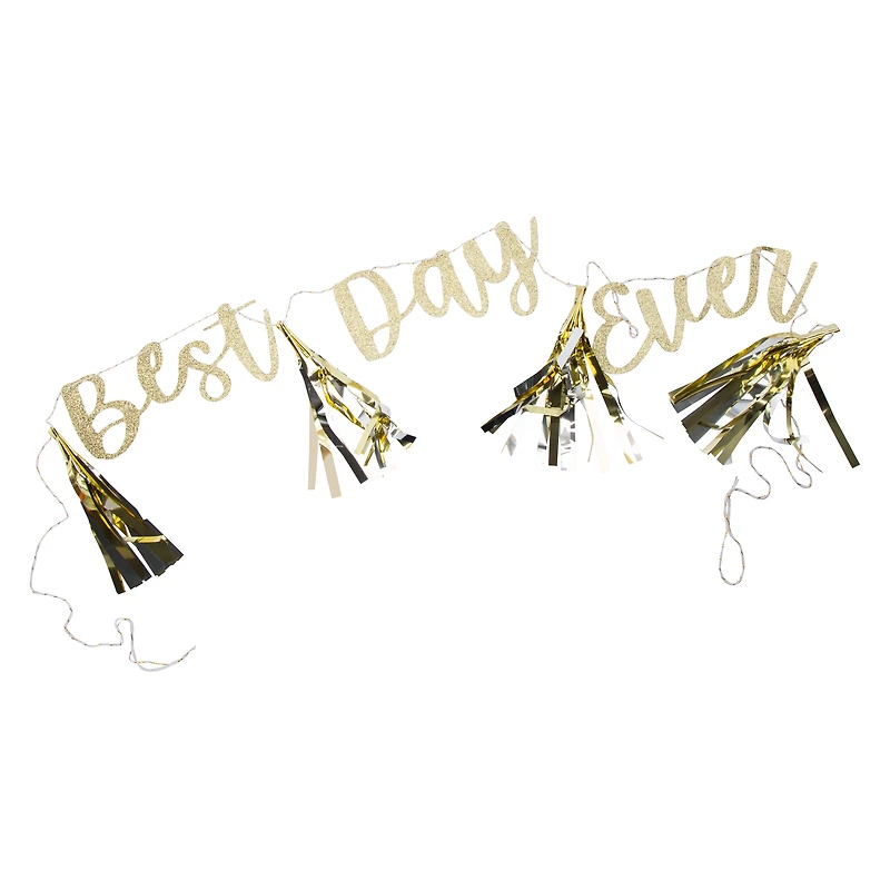 'Best Day Ever' Party Banner 96in x 8in