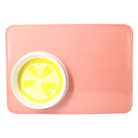 Outdoor Serving Tray With Dip Bowl 17.2in x 12.2in