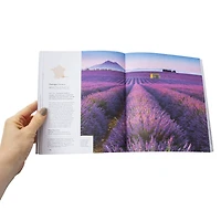 Where To Go When: The World's Best Destinations