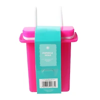 Fruit-Shaped Popsicle Molds 2-Count