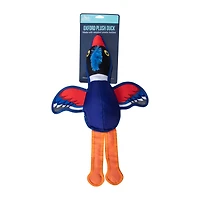 Pawsitively Fun! Oxford Plush Duck Pet Toy