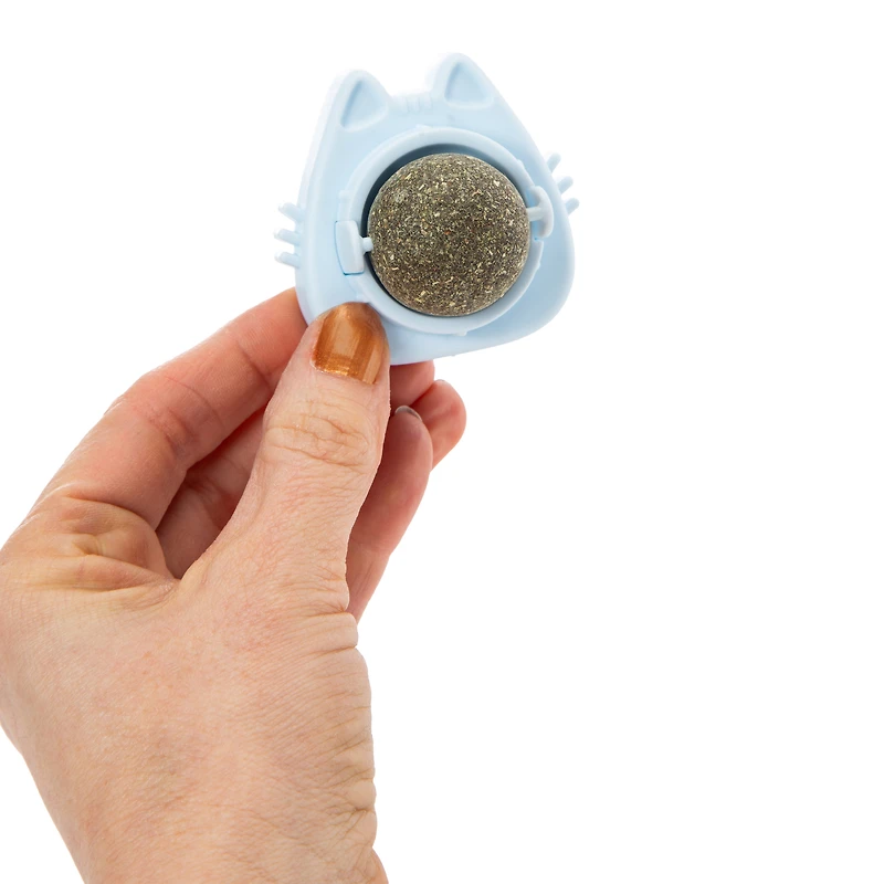 Catnip Ball Cat Toy