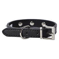Spike Dog Collar, XS