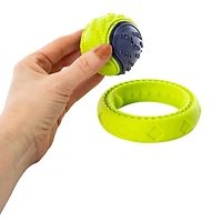 Rubber Ring & Ball Dog Toys 2-Pack