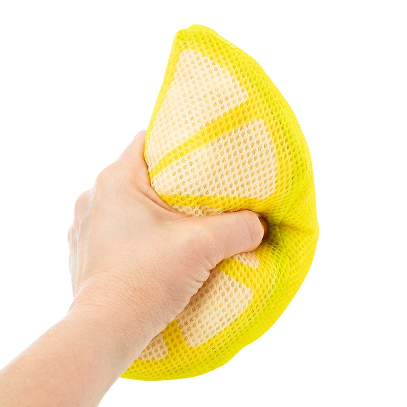 Floatiez Floating Pool Dog Toy