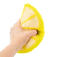 Floatiez Floating Pool Dog Toy