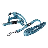 Dog Harness & Leash Set