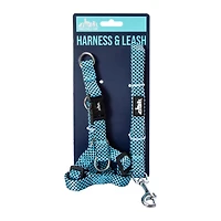 Dog Harness & Leash Set