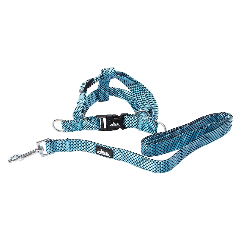Dog Harness & Leash Set
