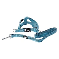 Dog Harness & Leash Set