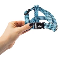 Dog Harness & Leash Set