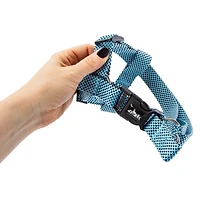 Dog Harness & Leash Set