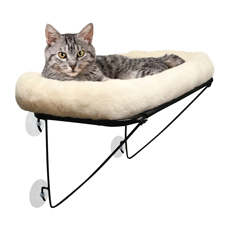 Pawsitively Fun! Cat Window Bed