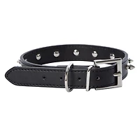 Spike Dog Collar, Large