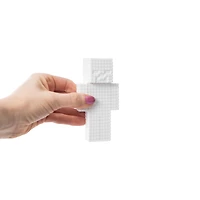 Minecraft Paint Your Own Figurine Kit