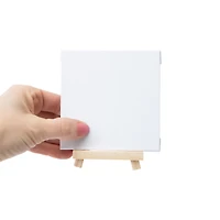 Artist Concepts™ Mini Canvas Party Pack 10-Count