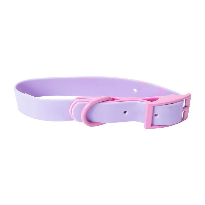 Pawsitively Fun! Pet Collar