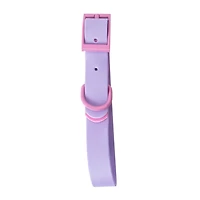 Pawsitively Fun! Pet Collar