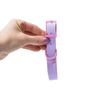 Pawsitively Fun! Pet Collar