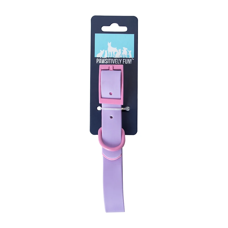 Pawsitively Fun! Pet Collar