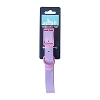 Pawsitively Fun! Pet Collar