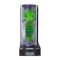 Weird Science Squishy Alien Anatomy Set