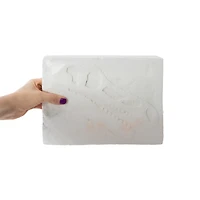 Dig Team® T-Rex Skeleton Dig Set