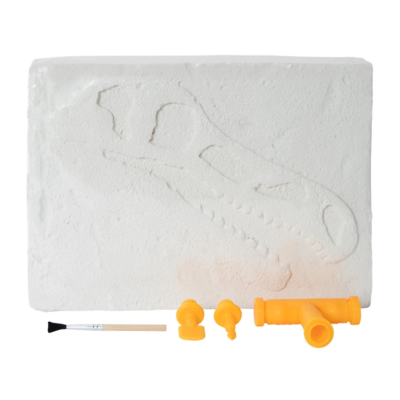 Dig Team® T-Rex Skeleton Dig Set