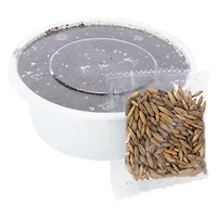 Catnip Garden® Cat Grass Kit