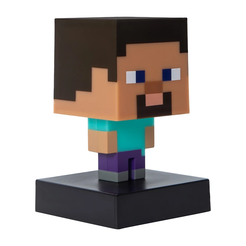 Icons Minecraft Steve Light 1-Piece