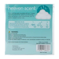 Heaven Scent Cone Incense Burner Kit 11-Piece