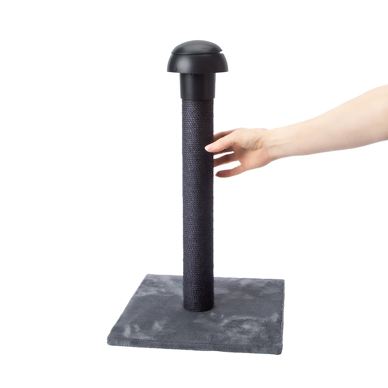 Cat Scratching Post With Laser