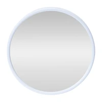 Multi-Function Suction Cup Mirror