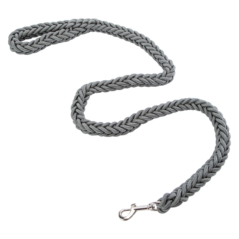 Pawsitively Fun! Braided Dog Leash