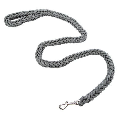 Pawsitively Fun! Braided Dog Leash