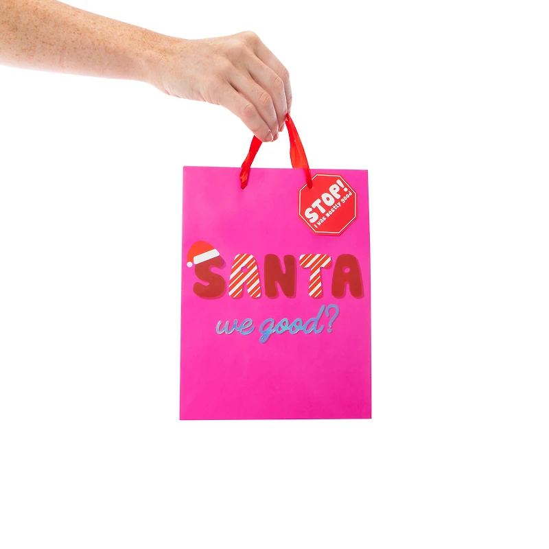 Christmas Gift Bag - ‘Santa, We Good?’