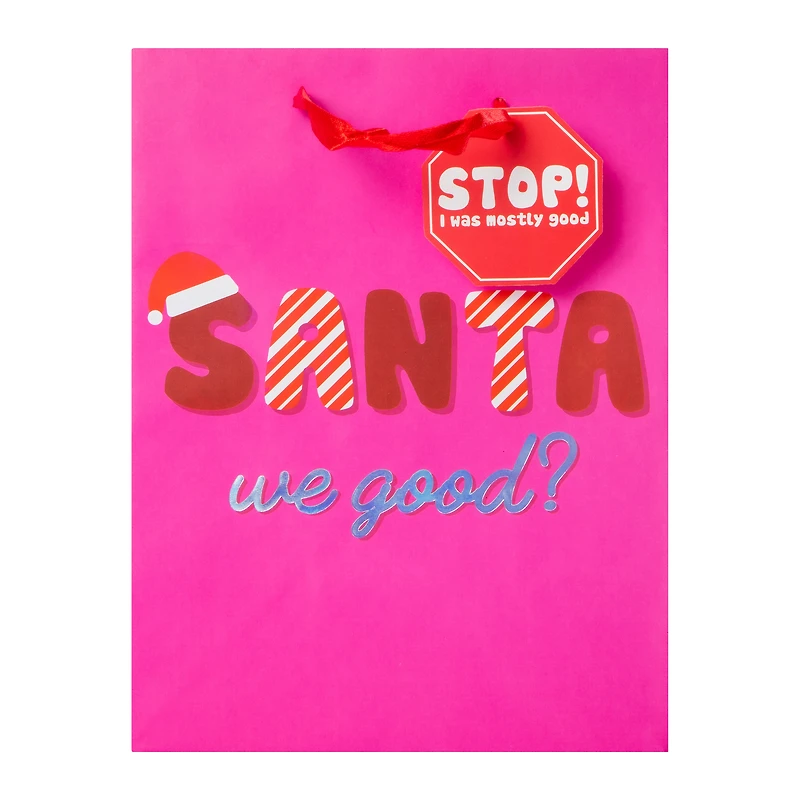 Christmas Gift Bag - ‘Santa, We Good?’