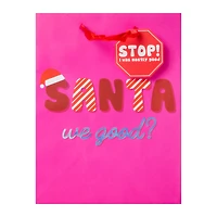 Christmas Gift Bag - ‘Santa, We Good?’
