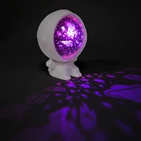 LED Astro Projector