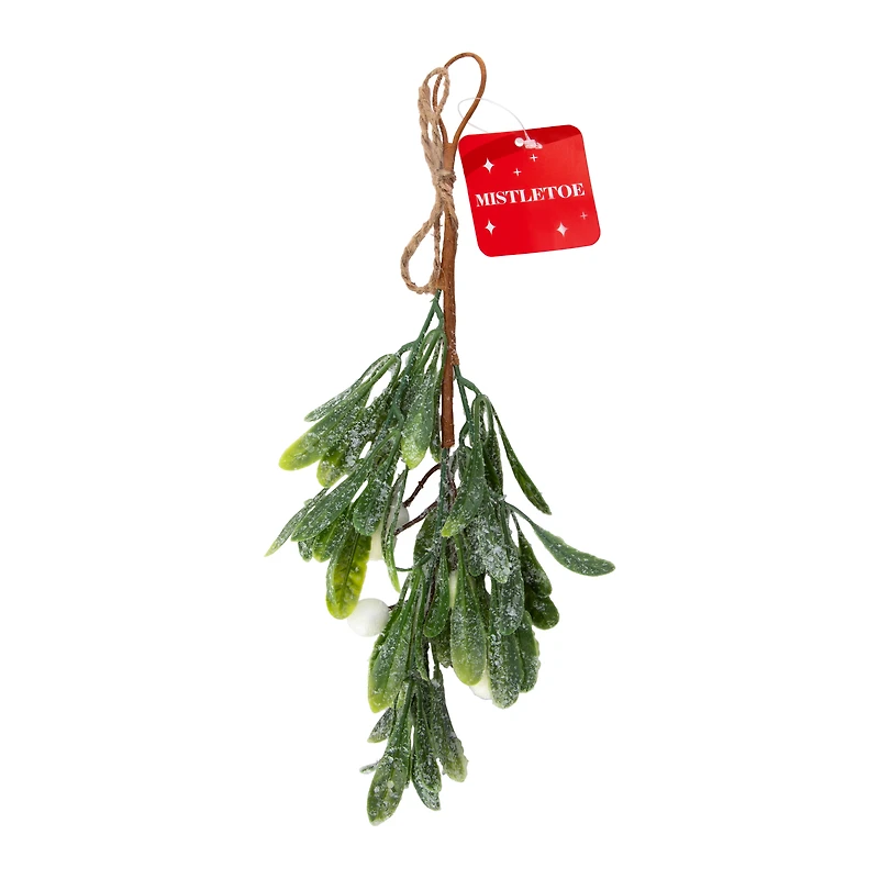 Christmas Mistletoe Decoration