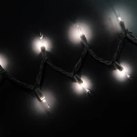 Christmas Lights Set 70-Count - Clear