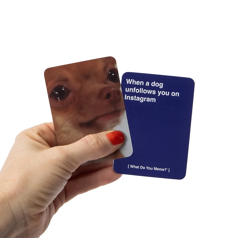 What Do You Meme? Board Game