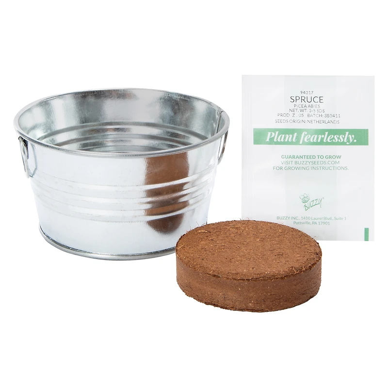 Buzzy® Spruce Complete Grow Kit