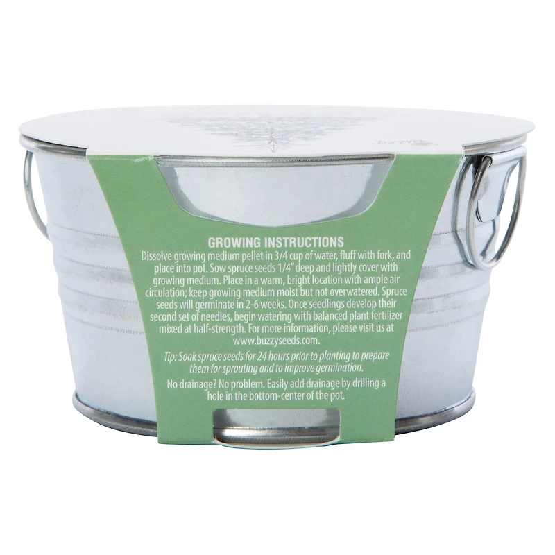 Buzzy® Spruce Complete Grow Kit