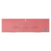 Smoke & Mirrors The Ultimate Lip Party 15-Piece Set