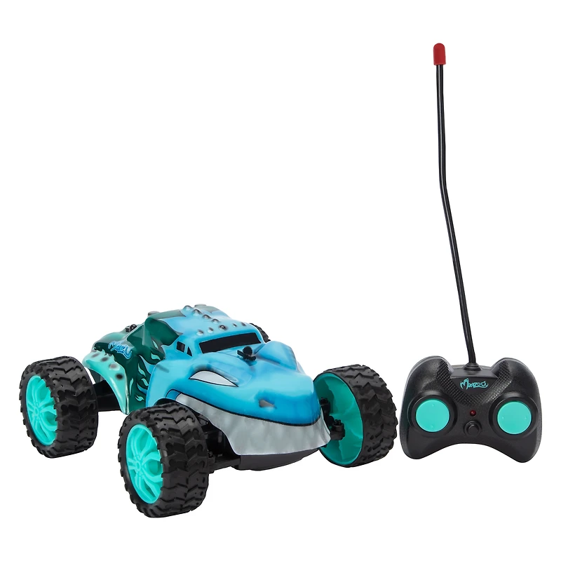 Monzoo Remote Control Car
